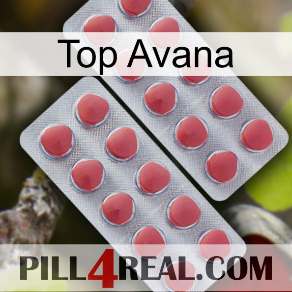 Top Avana 19.jpg